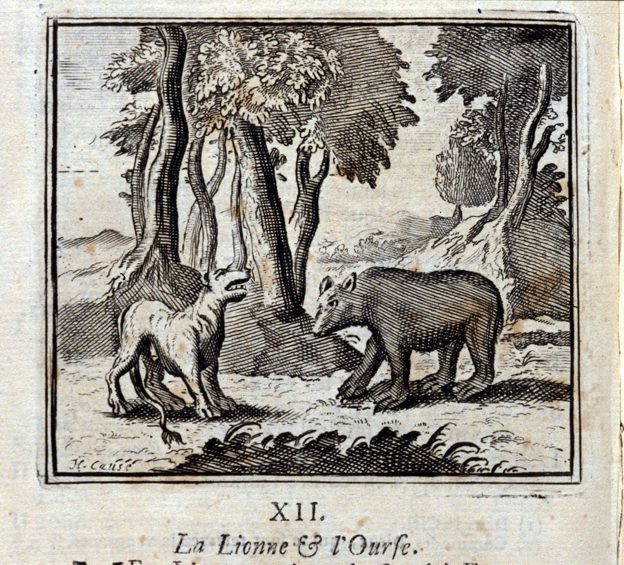 La Lionne et l