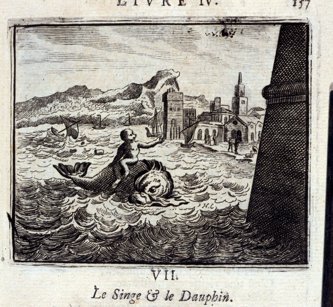 Le Singe et le Dauphin - Francois Chauveau