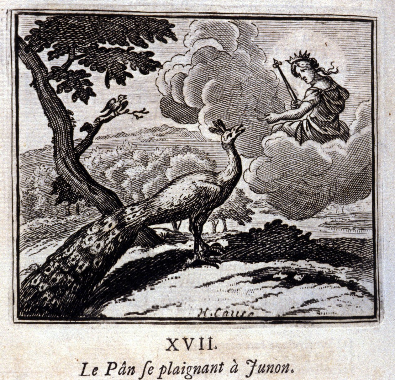 Le Paon se plaignant à Junon - Francois Chauveau