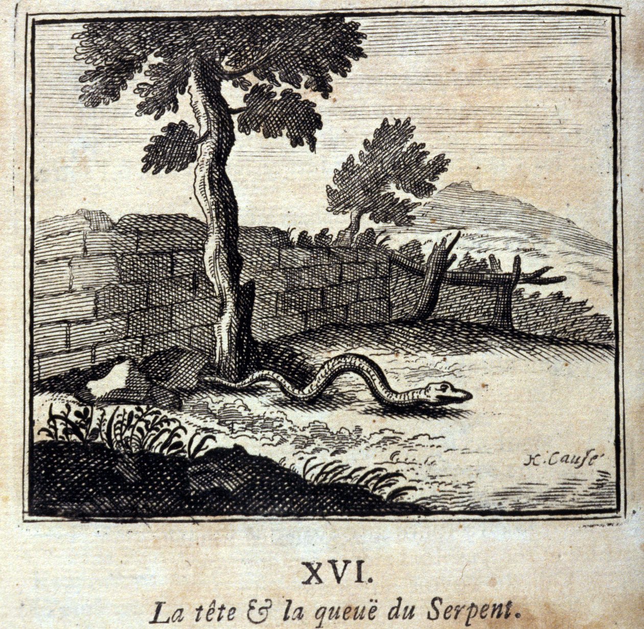 La Tête et la Queue du Serpent. Fables de Jean de La Fontaine (1621-95). Illustration de François Chauveau (1613-1676). Édition de 1728. - Francois Chauveau