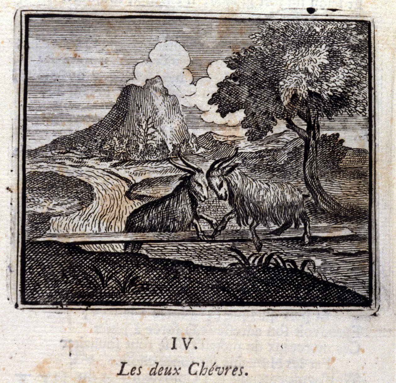 Les deux chèvres - Francois Chauveau