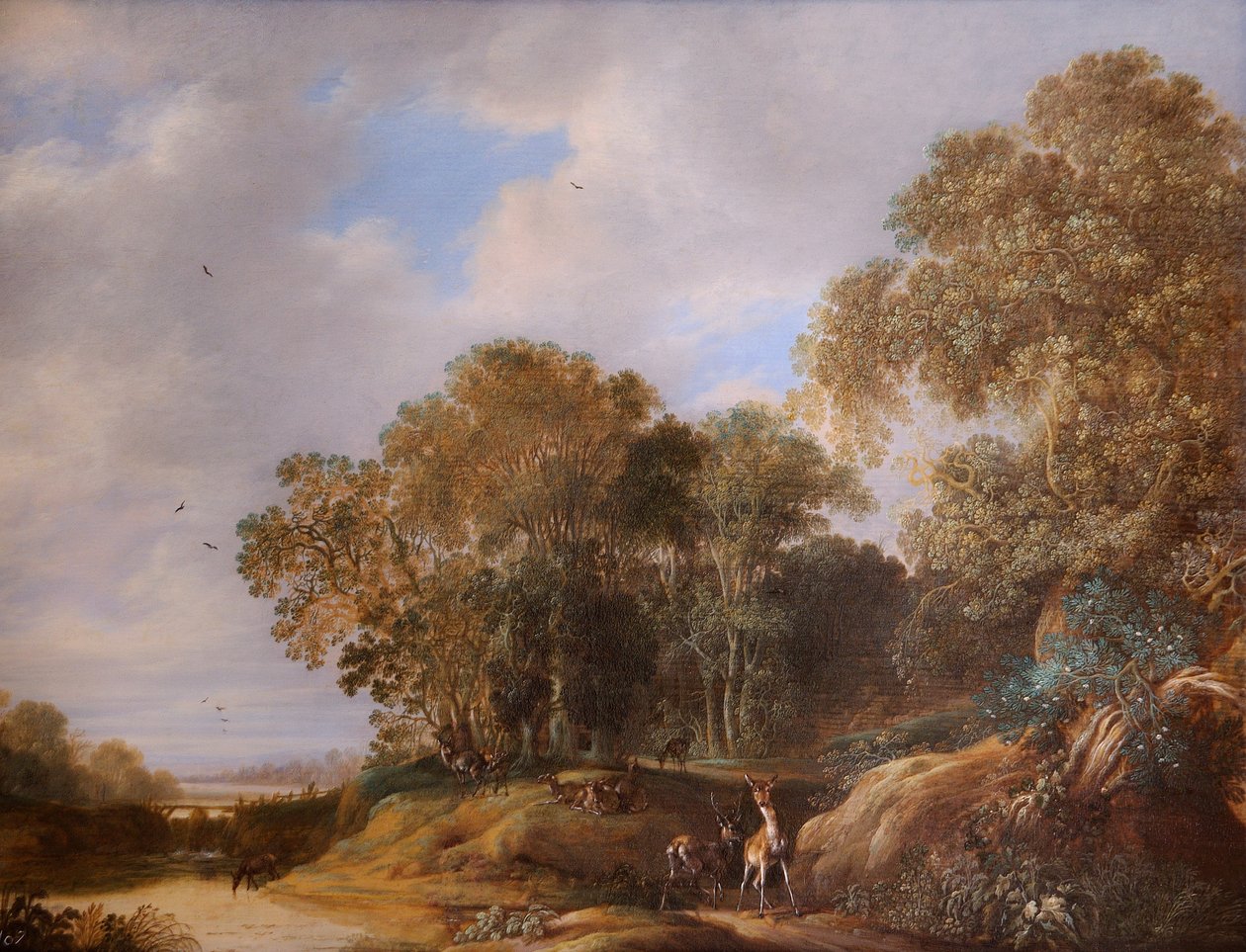 Paysage avec des cerfs - Francois Knibbergen