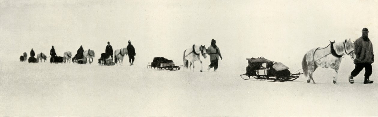 Poneys en marche, 1911, 1913 - Frank Debenham