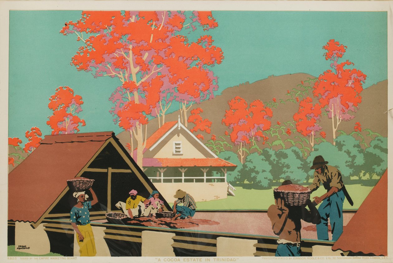 Une plantation de cacao à Trinidad - Frank Newbould