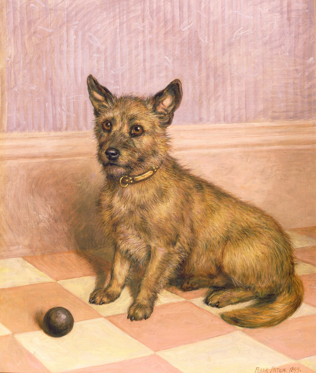 En attente de jouer, un cairn terrier avec une balle - Frank Paton