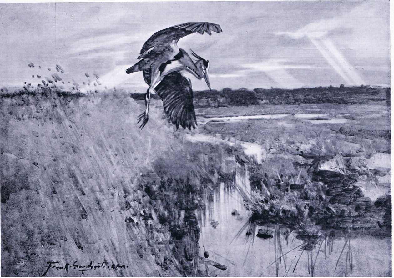 Jack Harnser-Heron - Frank Southgate