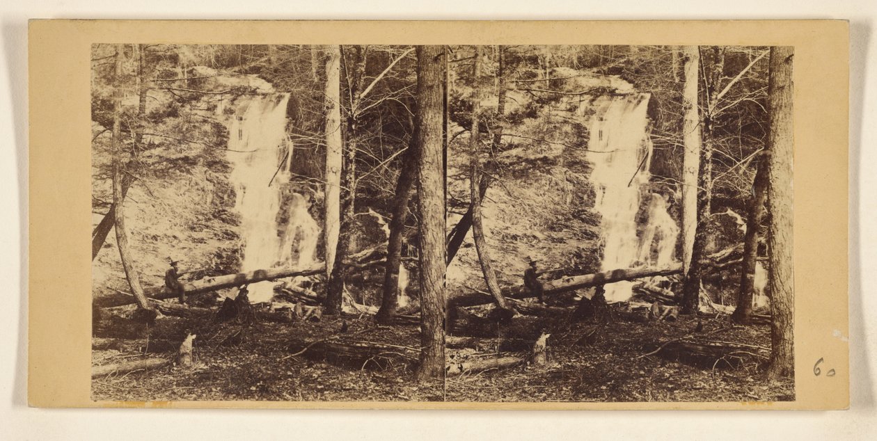 Collines et vallons de la Nouvelle-Angleterre. A Springfield, Vermont. Le petit Niagara de Tower... La chute totale est de près de 60 pieds. - Franklin Benjamin Gage