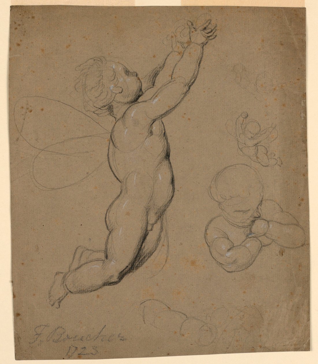 Études de putti - François Boucher
