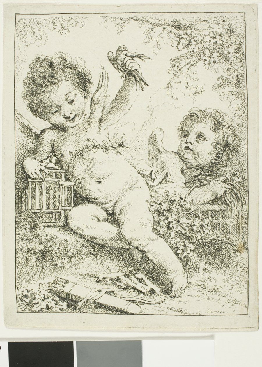 Deux Putti avec un oiseau - François Boucher