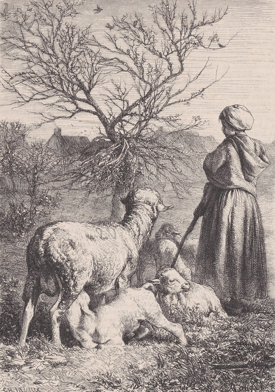 Une Bergère, vers 1852 - François Rouget