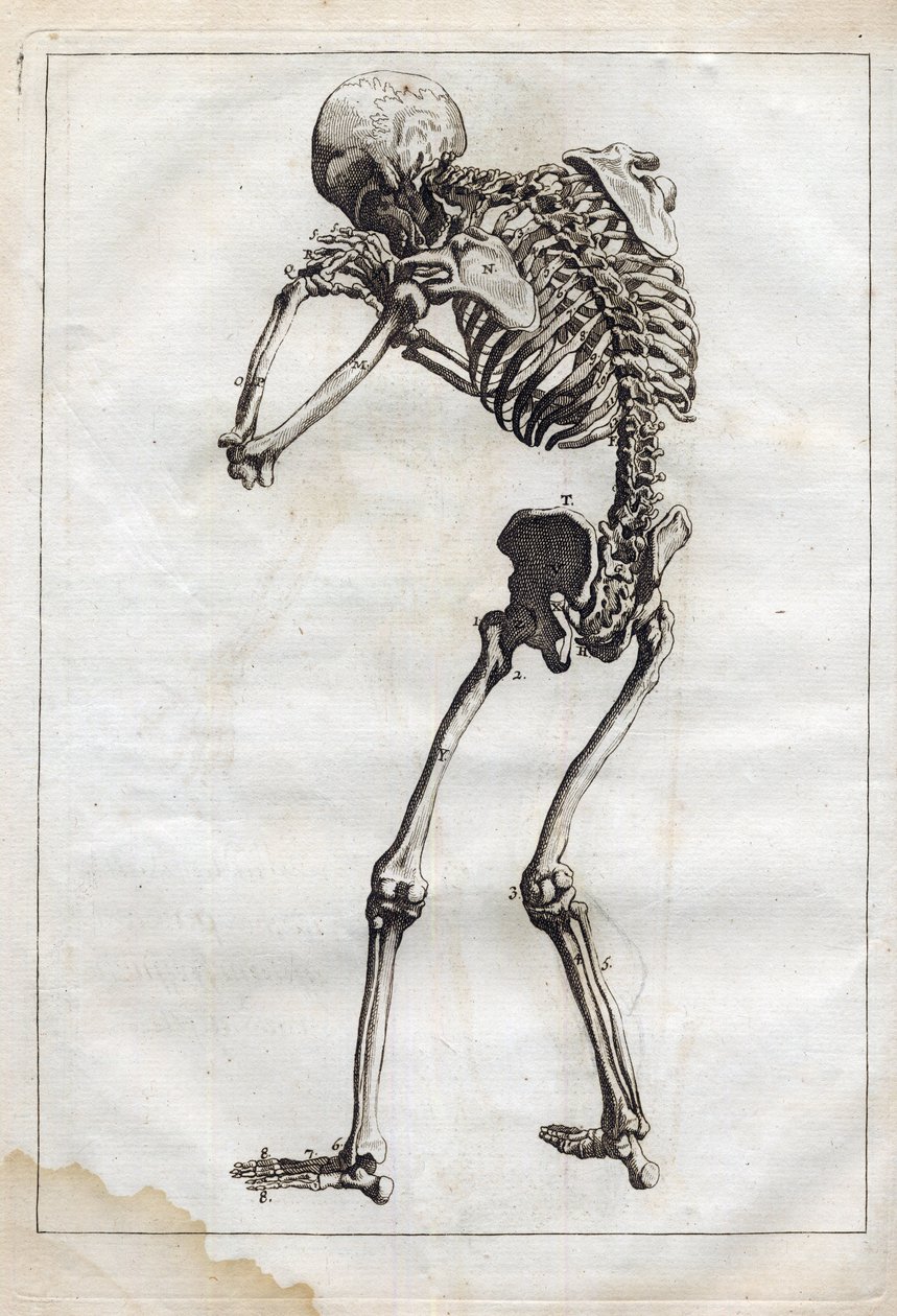 Gravure dans 