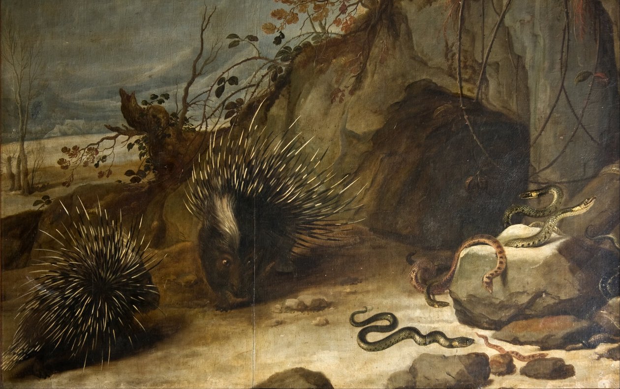 Porcs-épics et vipères - Frans Snyders or Snijders