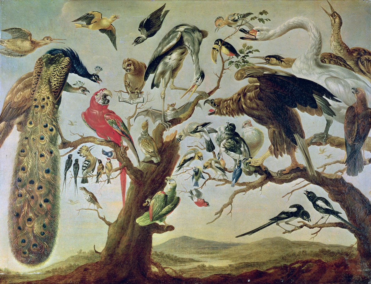 Le concert des oiseaux - Frans Snyders or Snijders