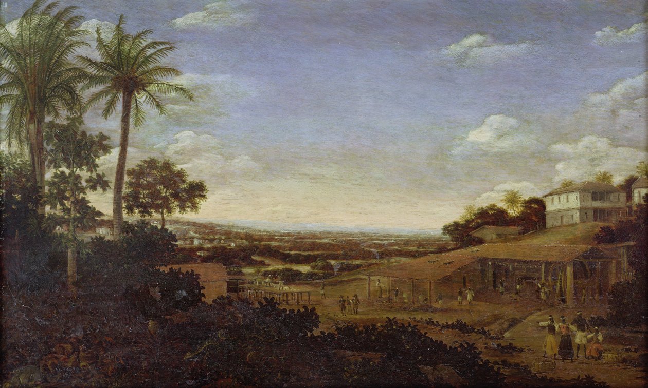 Image inconnue - Frans Post