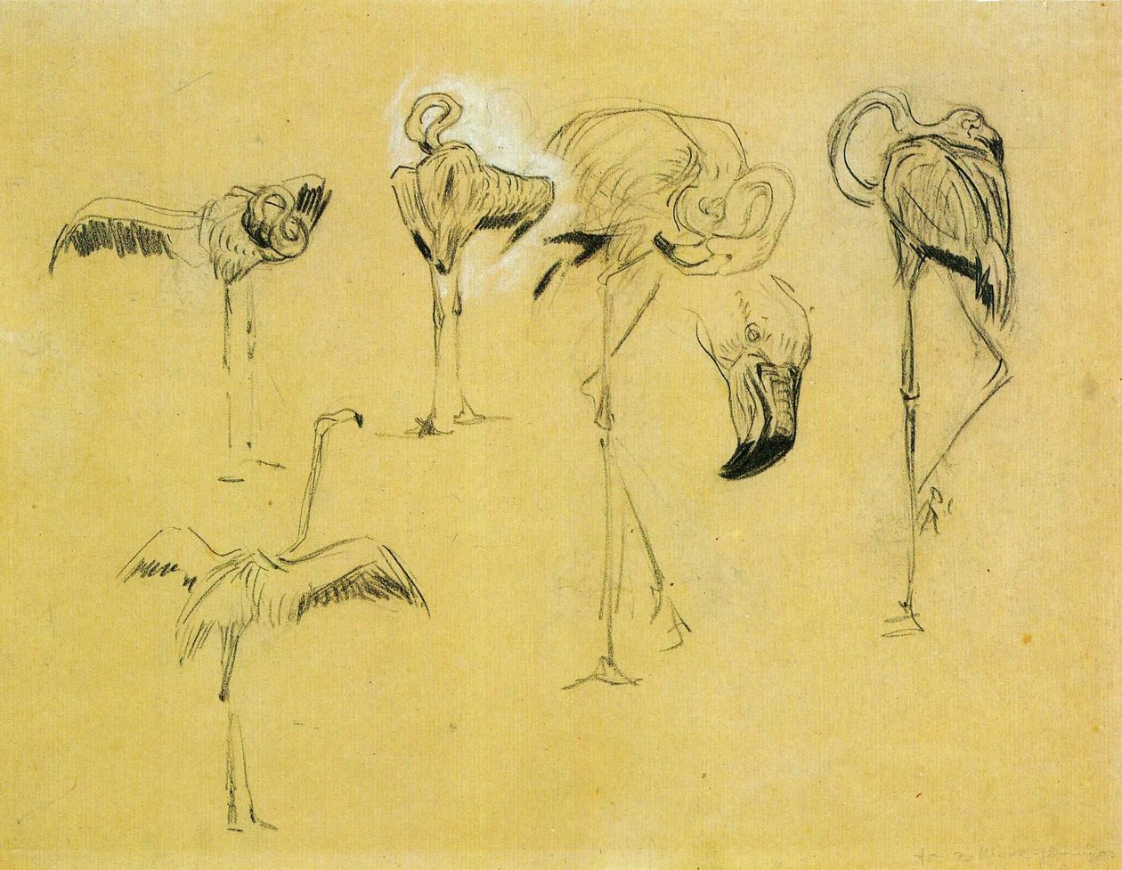 Flamants roses - Franz Marc