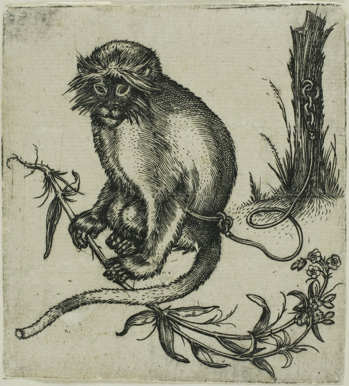 Un singe enchaîné - Franz Brun