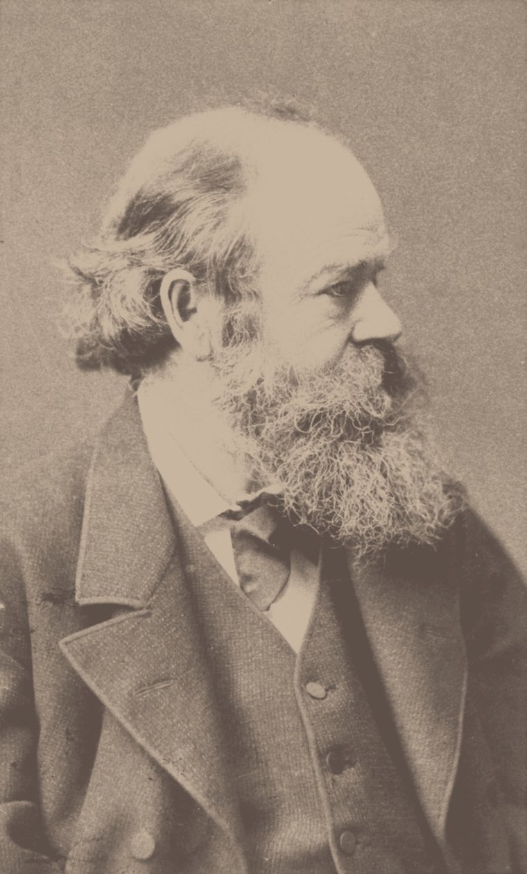 Portrait du compositeur Robert von Hornstein, 1833-1890 - Franz Hanfstaengl