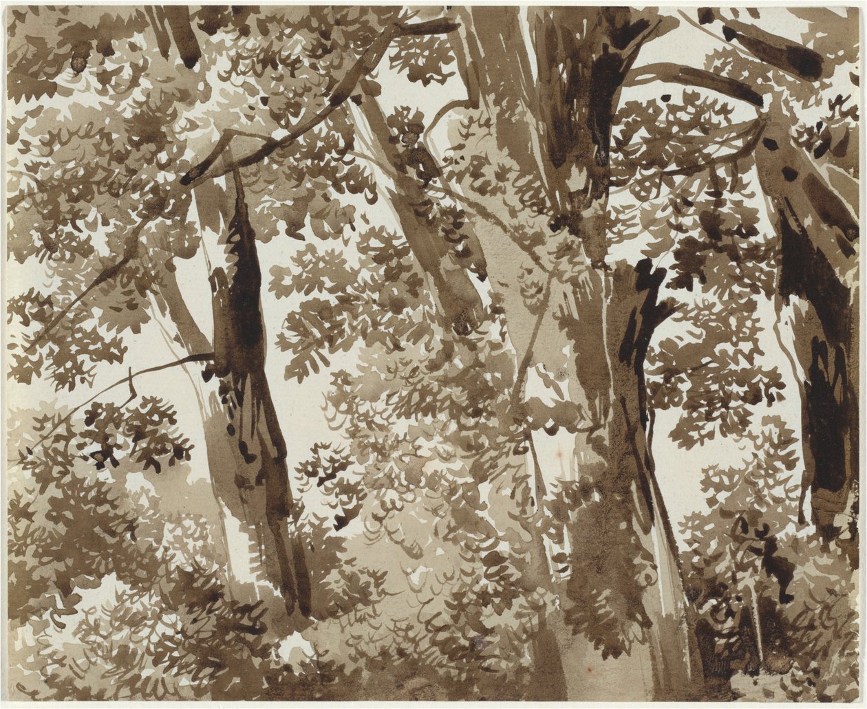 Arbres avec sous-bois dense - Franz Innocenz Josef Kobell