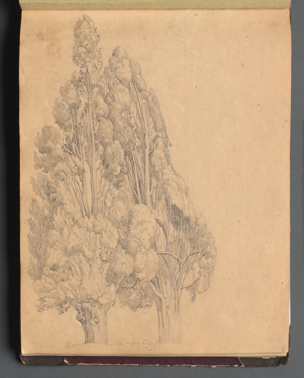 Album avec des vues de Rome et des environs, études de paysages, page 13a: Arbres - Franz Johann Heinrich Nadorp