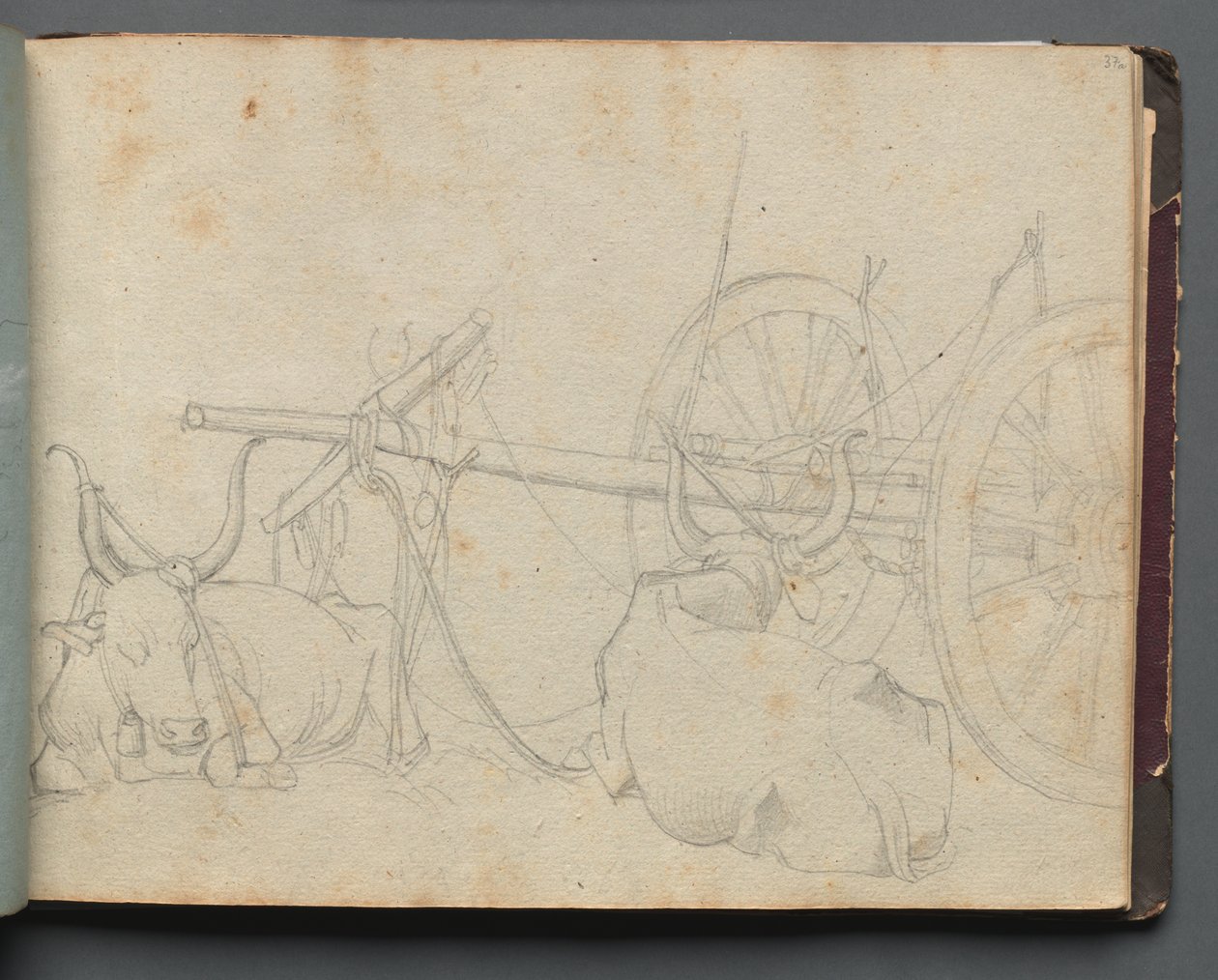 Album avec des vues de Rome et des environs, études de paysage, page 37a : Bœufs et chariot - Franz Johann Heinrich Nadorp
