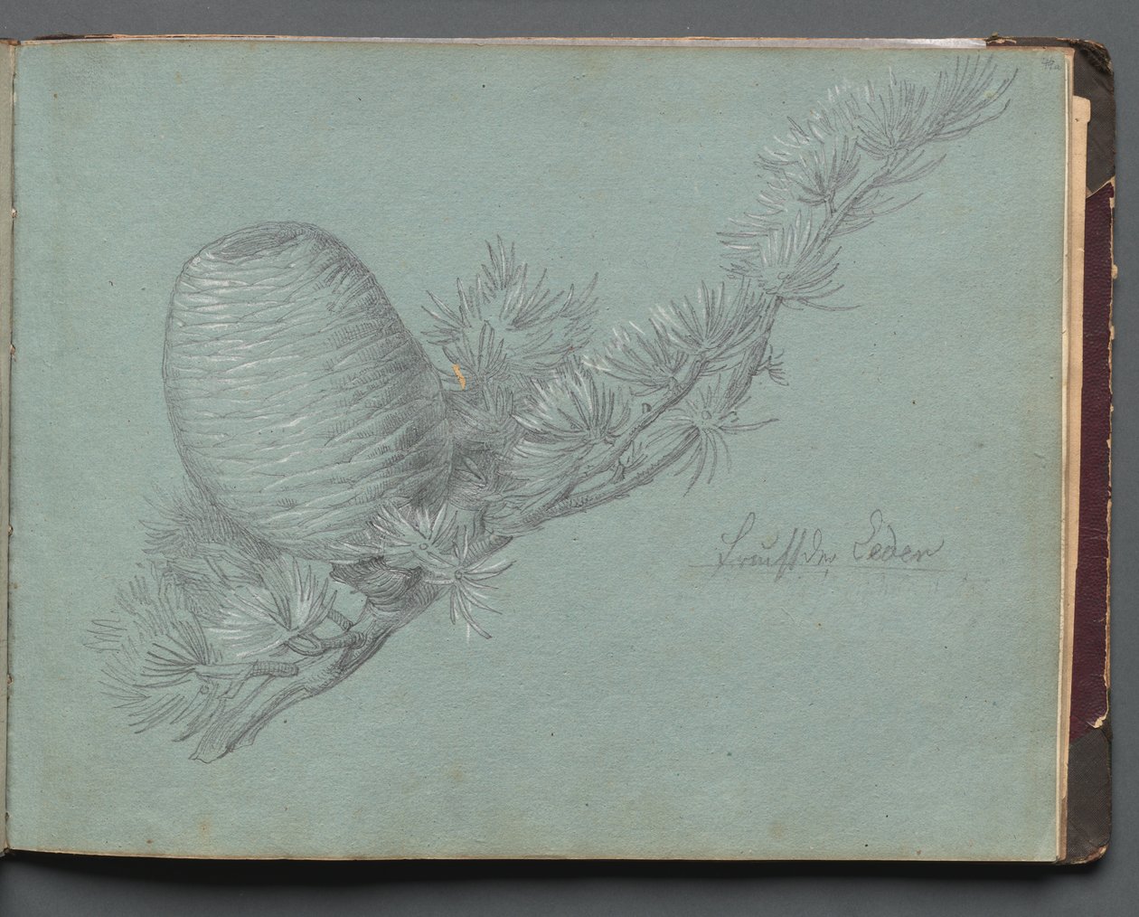 Album avec vues de Rome et des environs, études de paysages, page 49a : Étude d