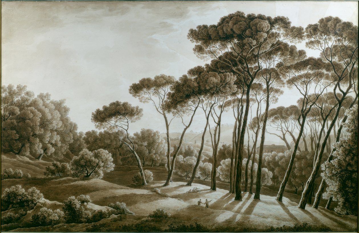 Les pins de la Villa Doria Pamphili - Franz Kaisermann