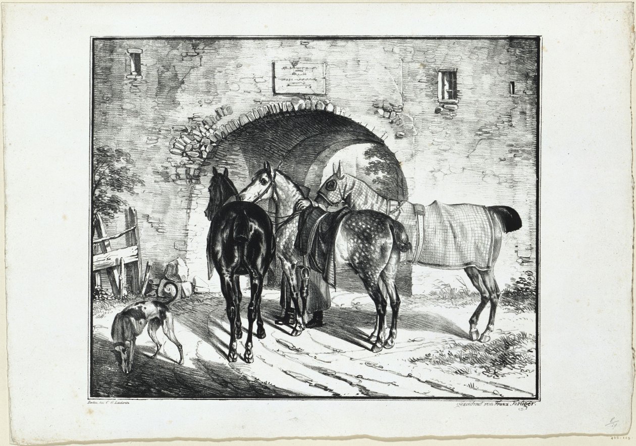 Trois chevaux près de l