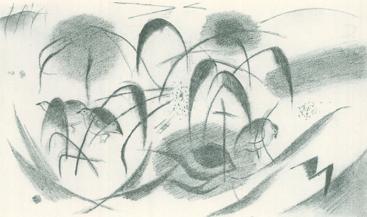 Pintadeau - Franz Marc