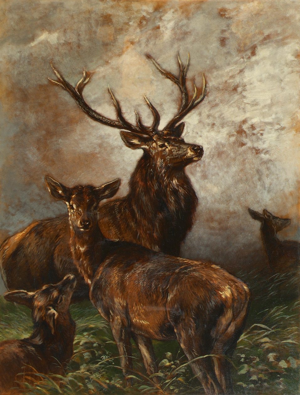 Cerf et biches - Franz Xaver von Pausinger