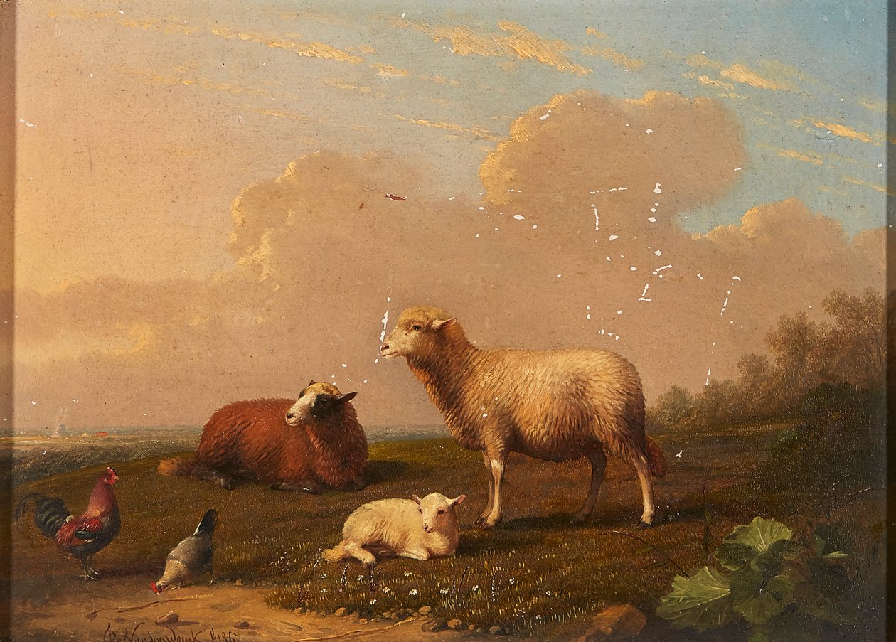 Moutons et poules dans un pré - Franz van Severdonck