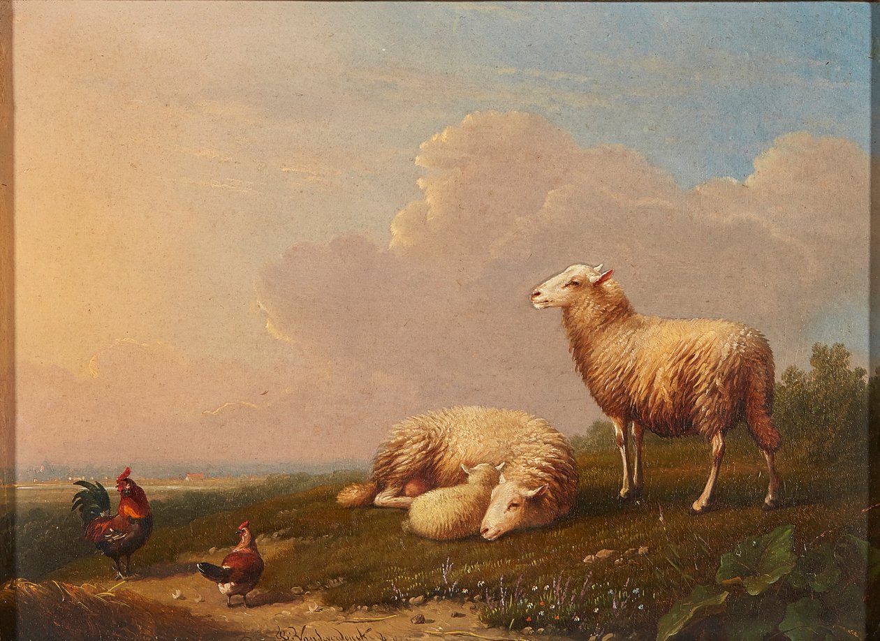 Moutons et poules dans un pré - Franz van Severdonck