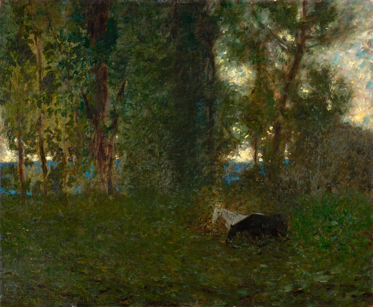 Chevaux au pâturage - Franz von Stuck