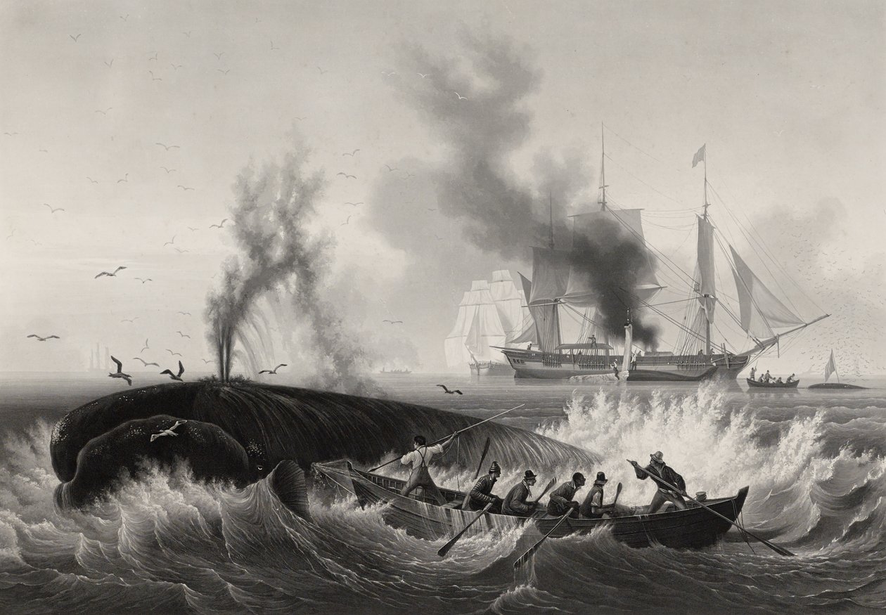 Pêche de la baleine, 1834-35 - Frederic Martens
