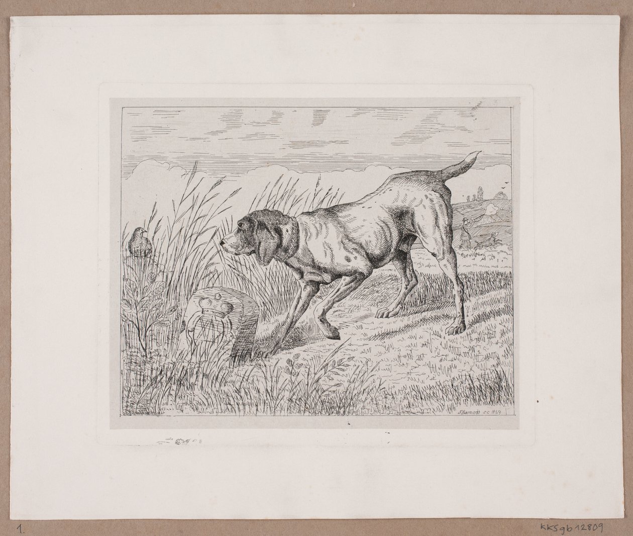 Un chien de chasse - Frede Aamodt