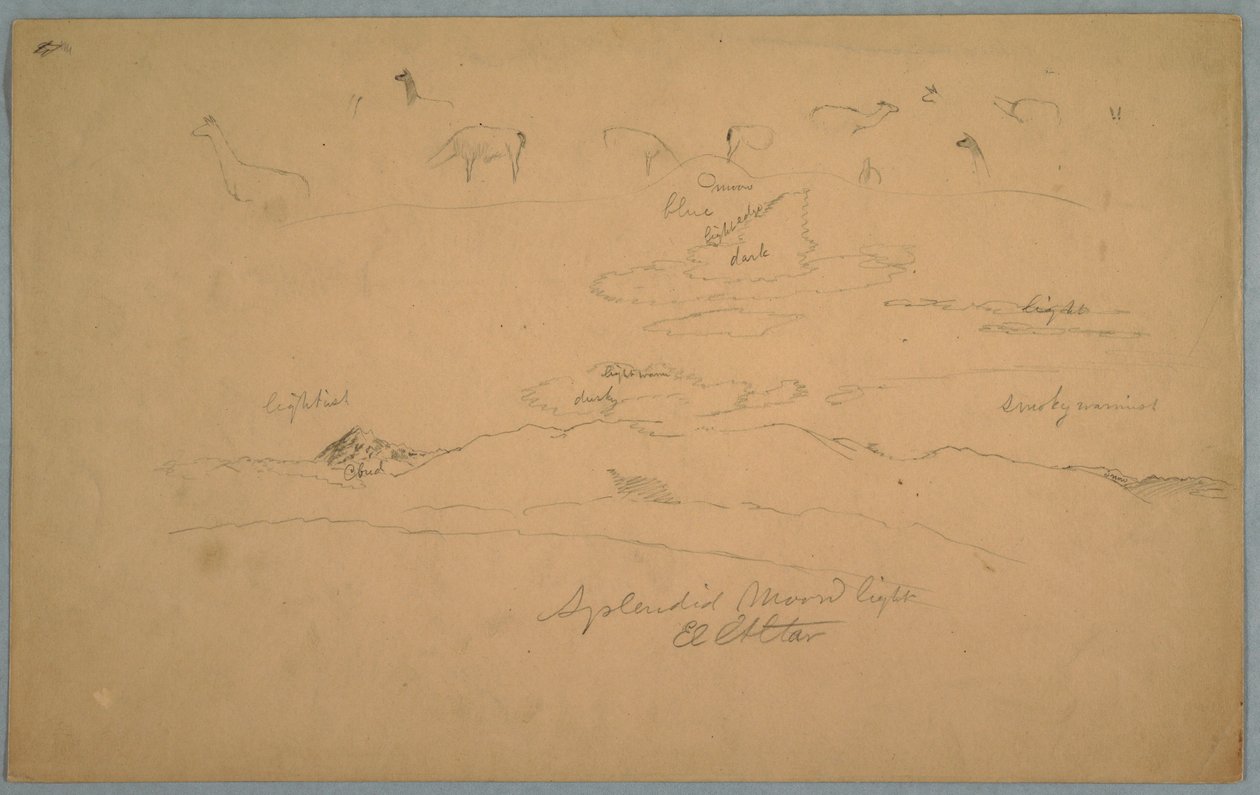 Dessin, Vues de l