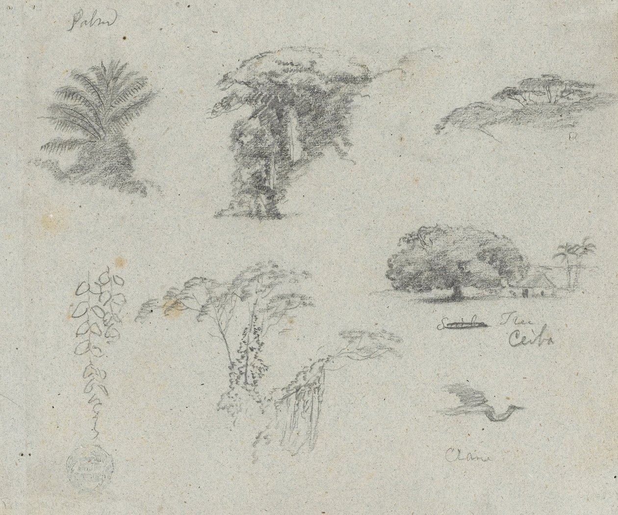 Croquis d
