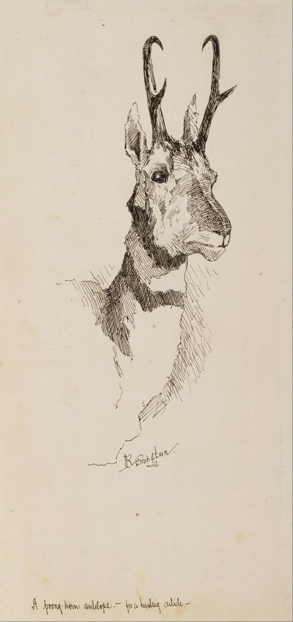 Un antilope pronghorn - Frederic Remington