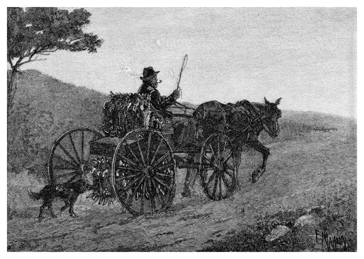 Un trappeur de lapins de Colac, 1886 - Frederic B. Schell