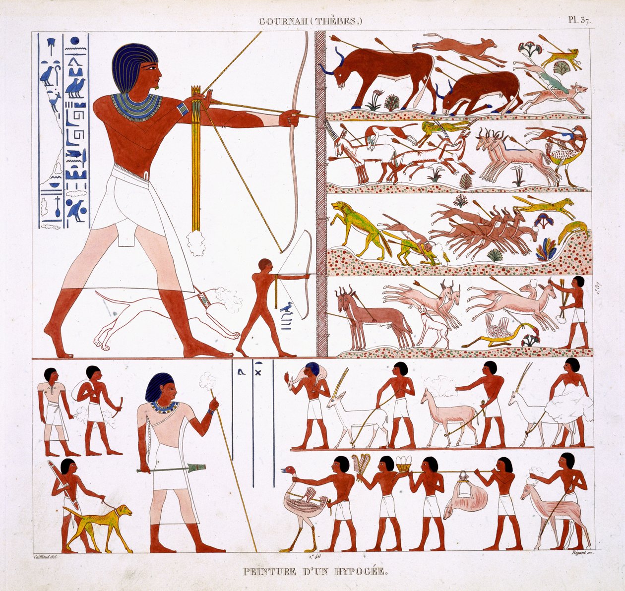 Scènes de chasse, d