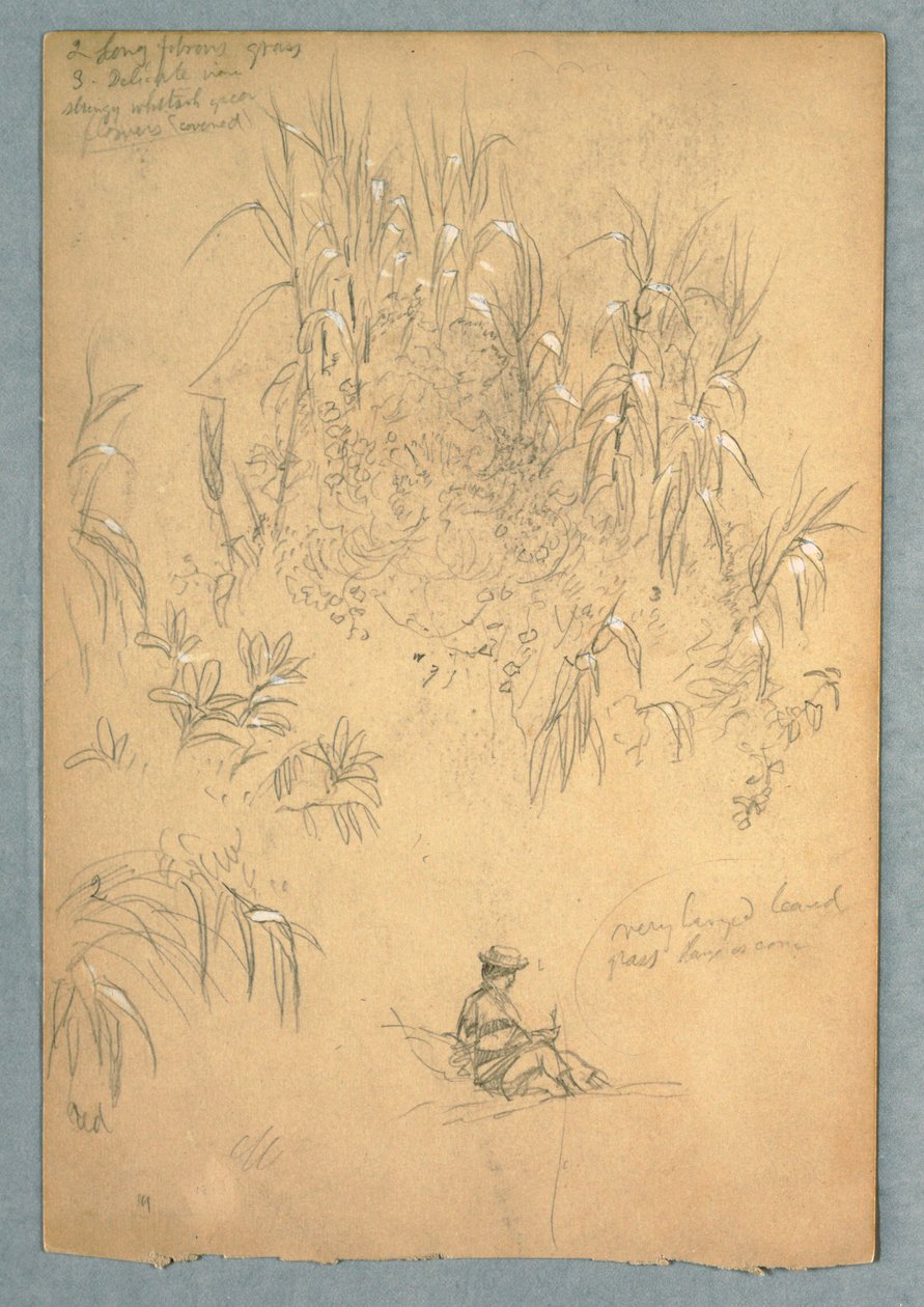 Étude détaillée d