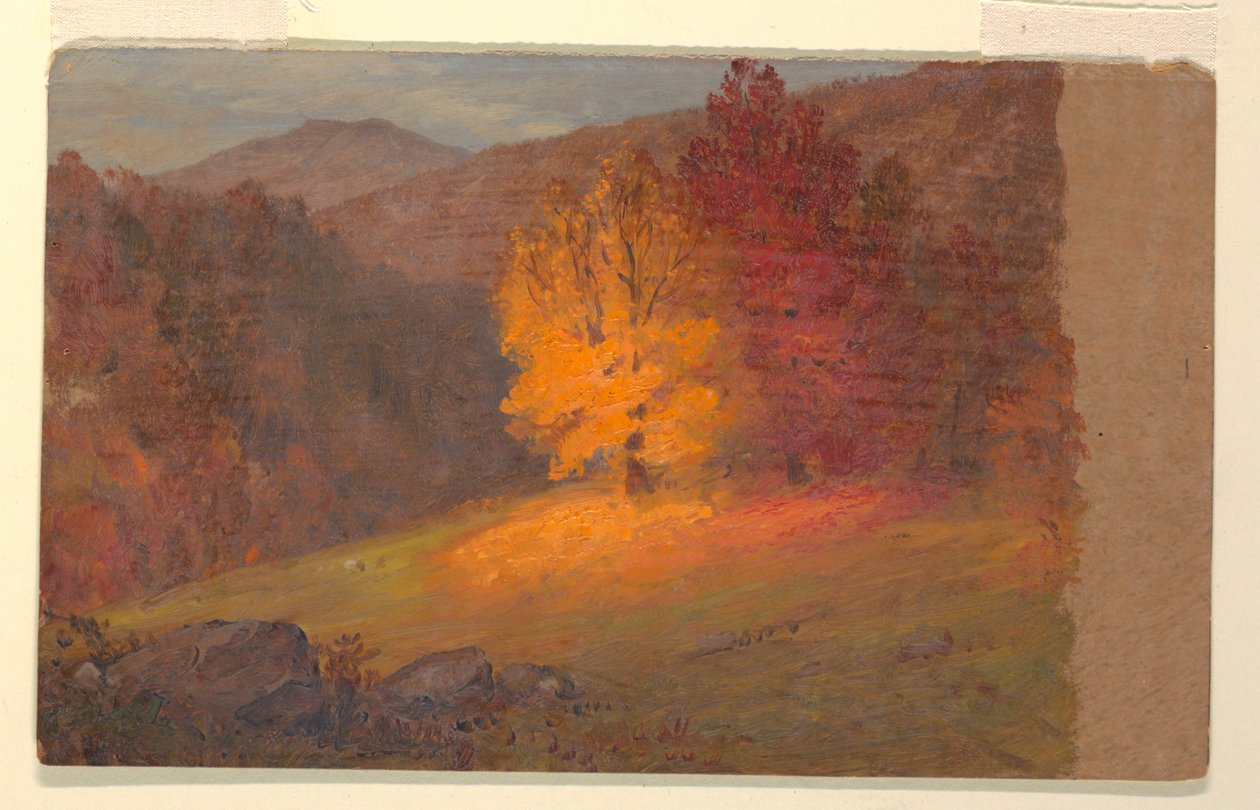 Paysage d