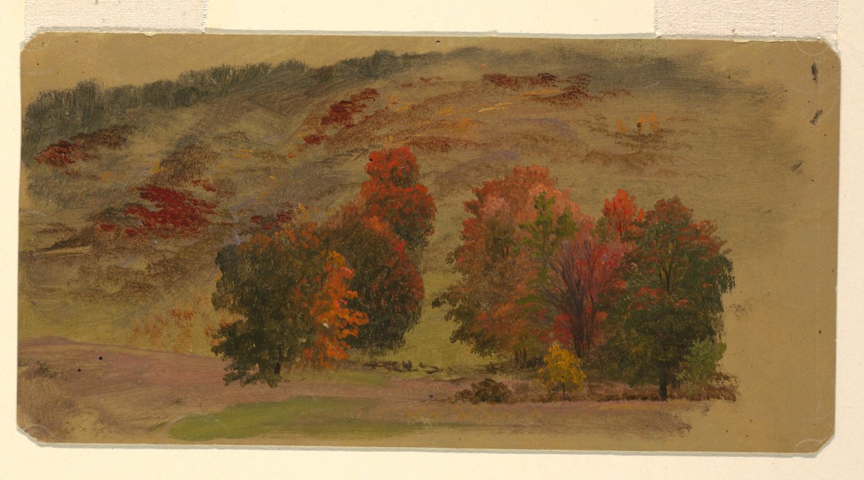 Paysage d