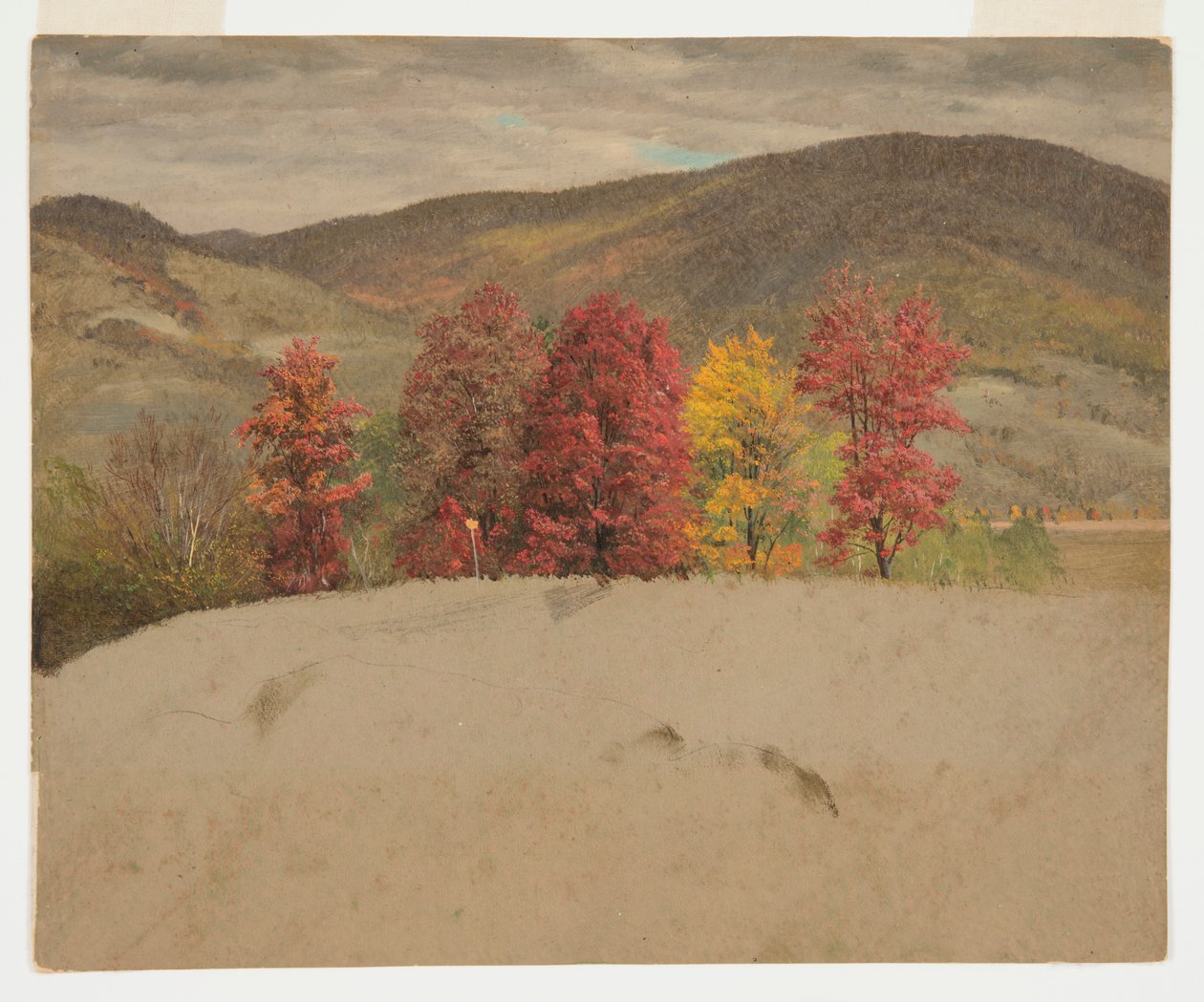 Paysage d