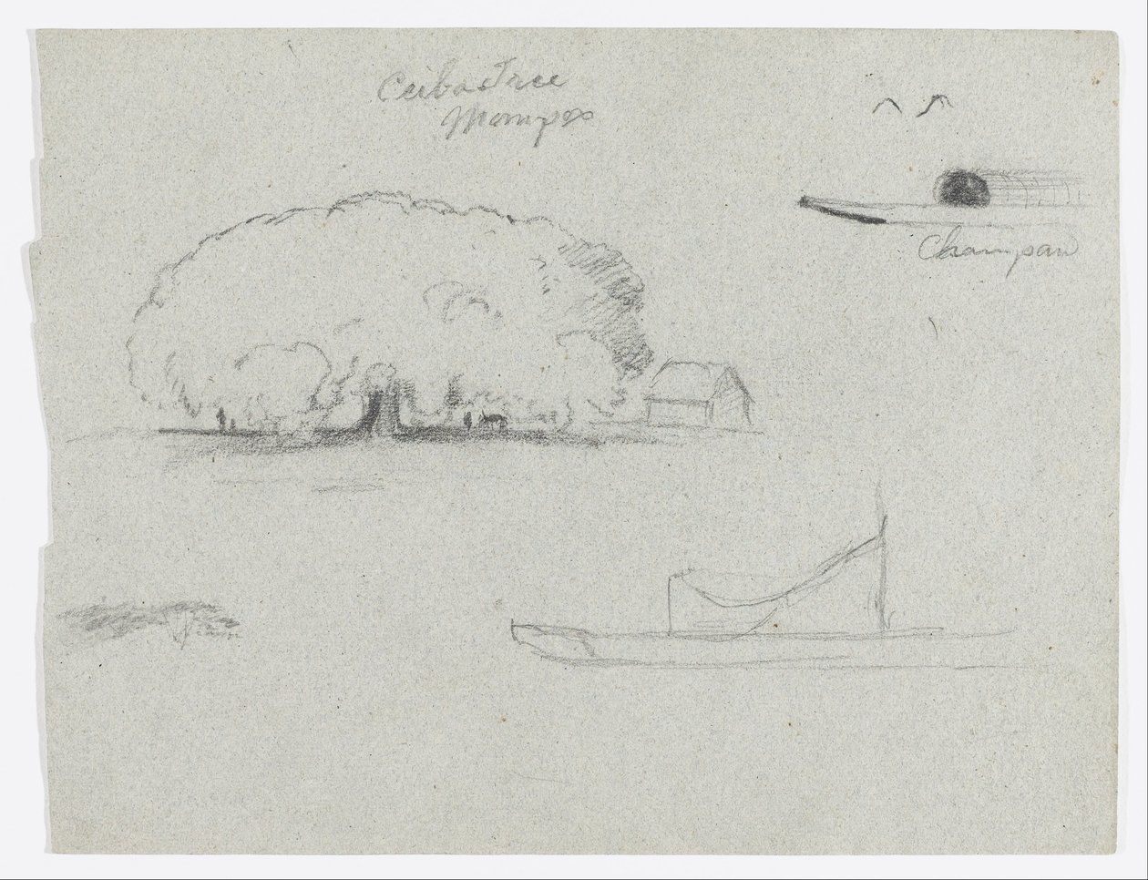 Ceiba à Mompos, Champan Canoë, arbres et une partie du bateau, Rio Magdelena, Colombie - Frederic Edwin Church
