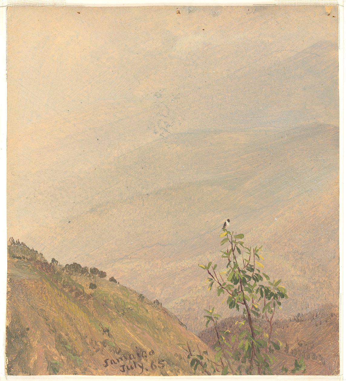 Collines lointaines, Jamaïque - Frederic Edwin Church