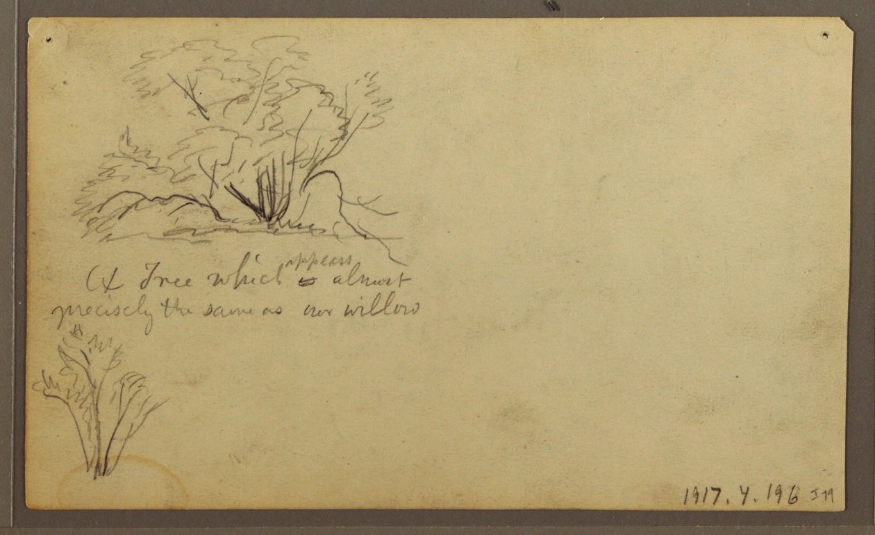 Dessin, Une hutte sur des poteaux, Guayaquil, Équateur, mai 1857 - Frederic Edwin Church