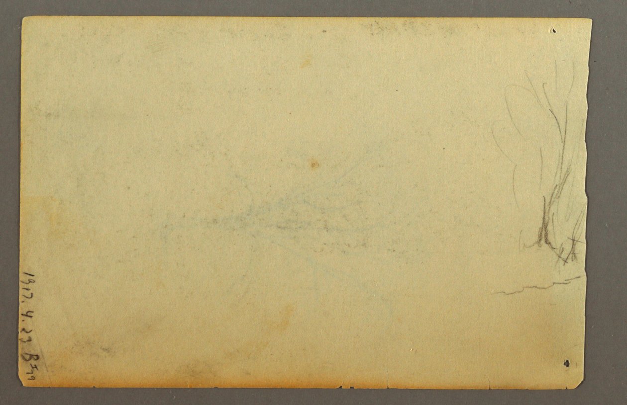 Dessin, Un arbre sans feuilles, février 1845 - Frederic Edwin Church