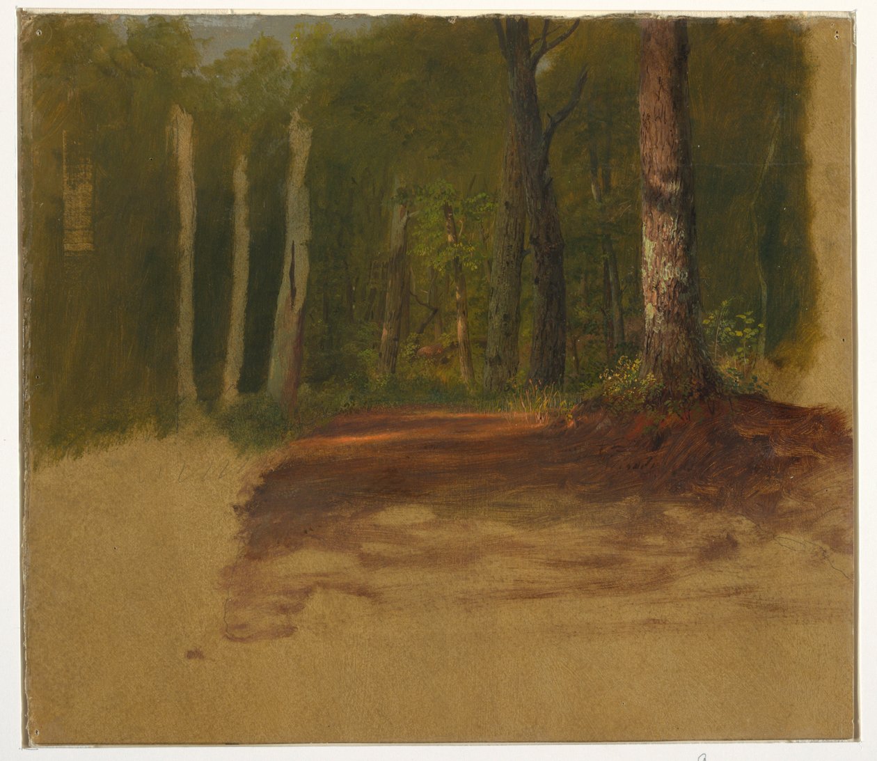 Dessin, Une route dans les bois, 1850-60 - Frederic Edwin Church