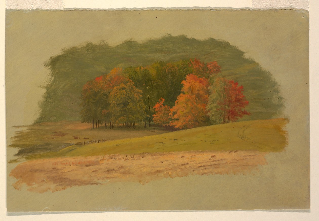 Dessin, paysage d