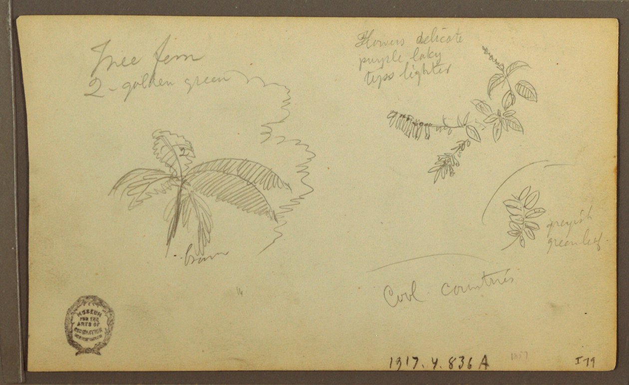 Dessin, croquis botaniques ; Verso : croquis botaniques, 1857 - Frederic Edwin Church